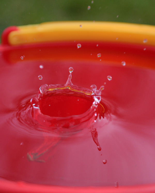 Little Splash (*)<br>by Richard Hopkins