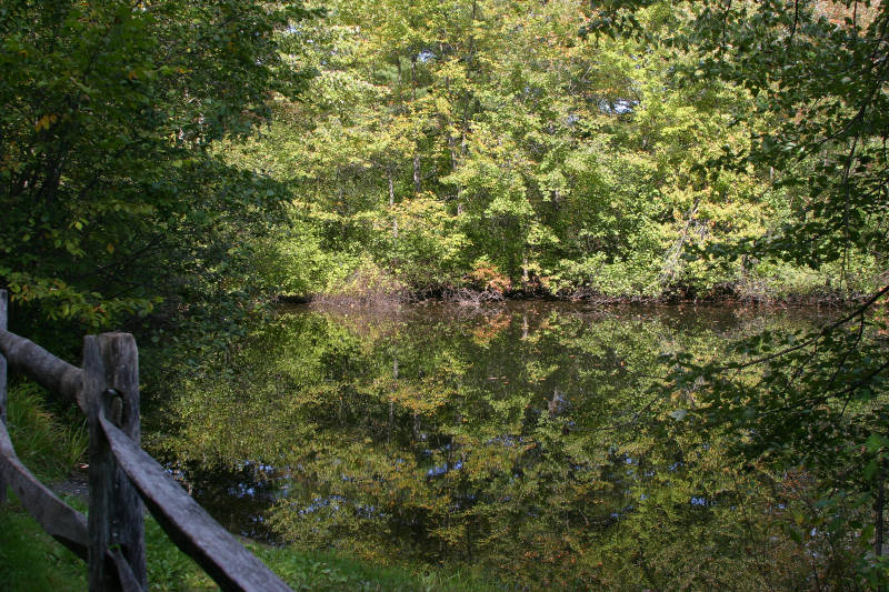 <b>Reflecting Liquid</b>*<br><font size=-1>by Rick Pargeter</font>