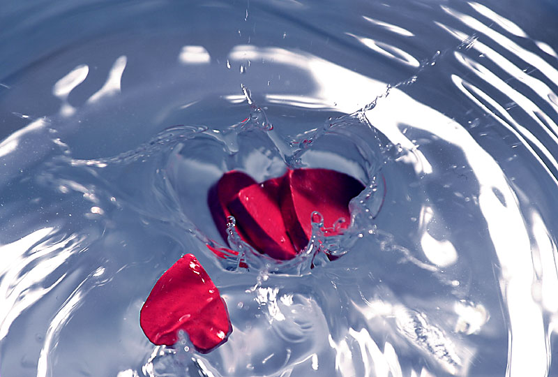 hearts * by Tobias Heer