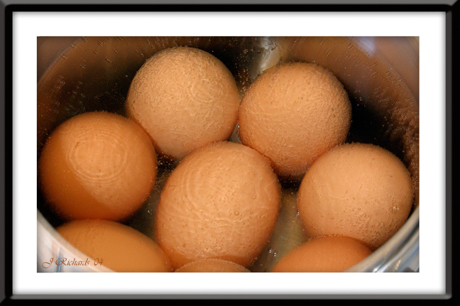 * Hard Boiling Eggs by Lonnit Rysher