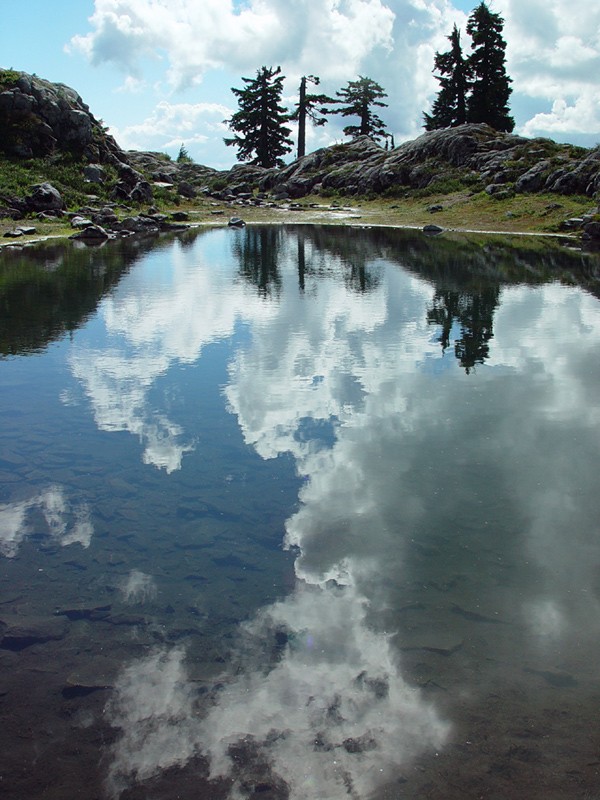 <B>Clouds in the Water</B><BR>*<FONT size=2>Ann Chaikin</FONT>