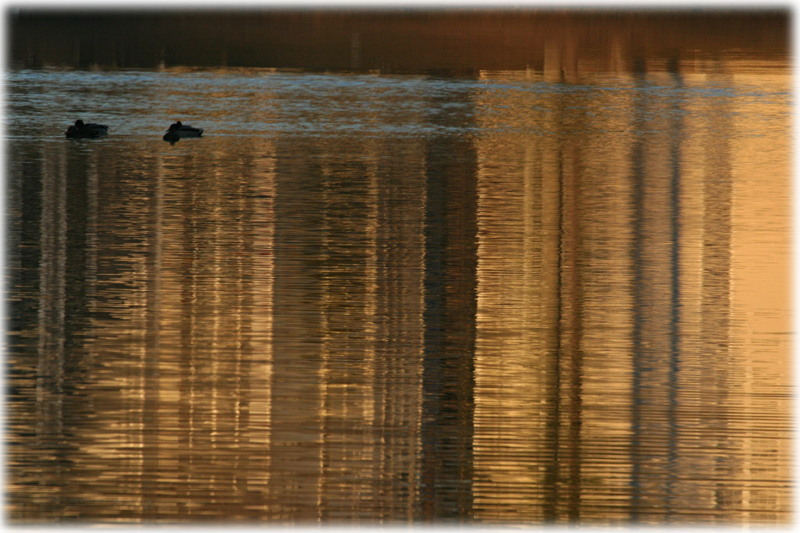 <b>Water Lines*</b><br><i>Gene Atwood</i>