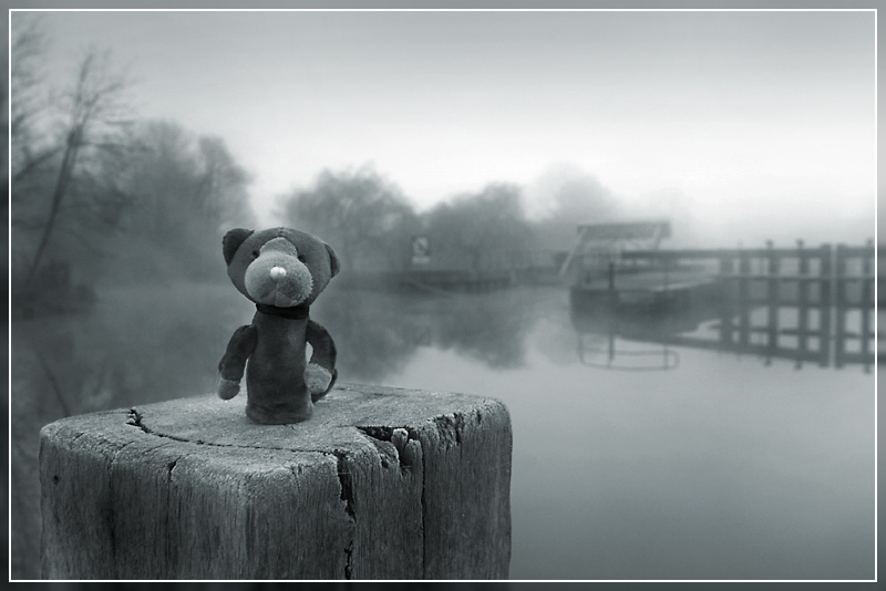 <b>River Rat</b>