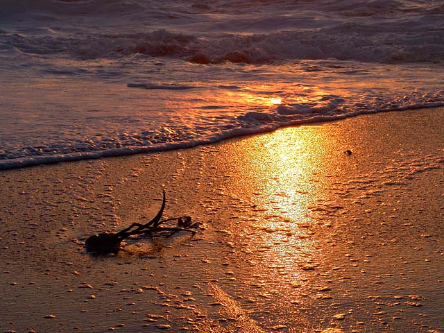 Washed Up*