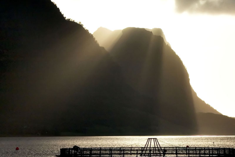 Sunrays