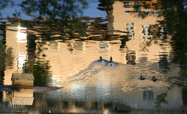 Unexpected reflections