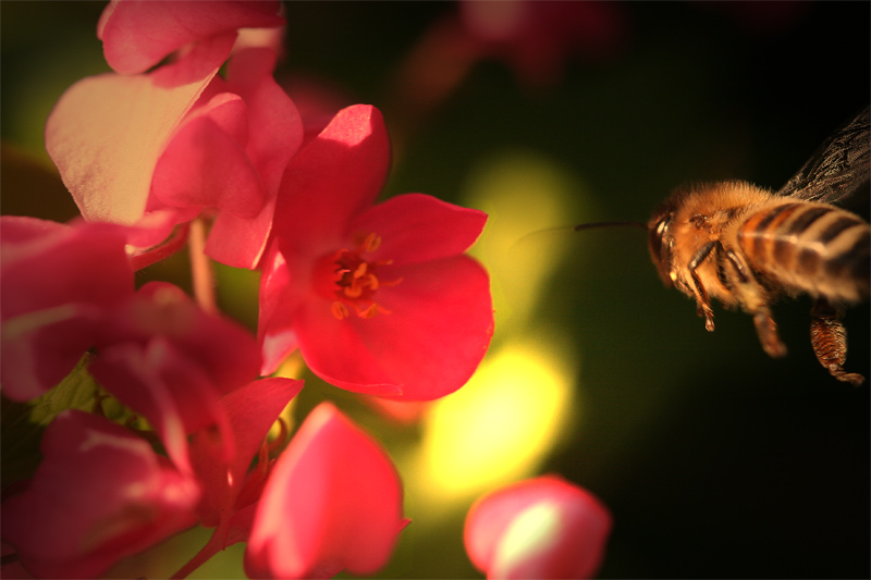 <b>Towards the Light</b>