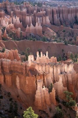 Morning Glory, Bryce