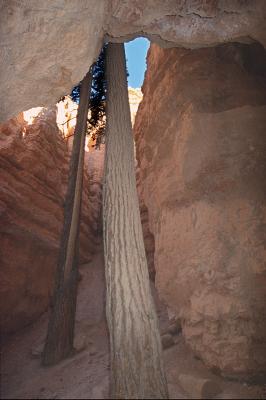 Wall Street, Bryce