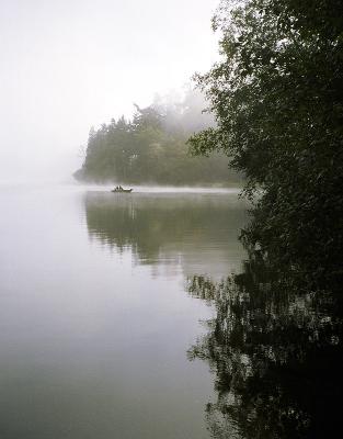 Fishin' Fog