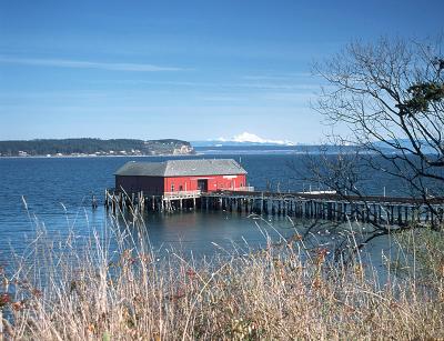 Coupeville Wharf and Mt. Baker