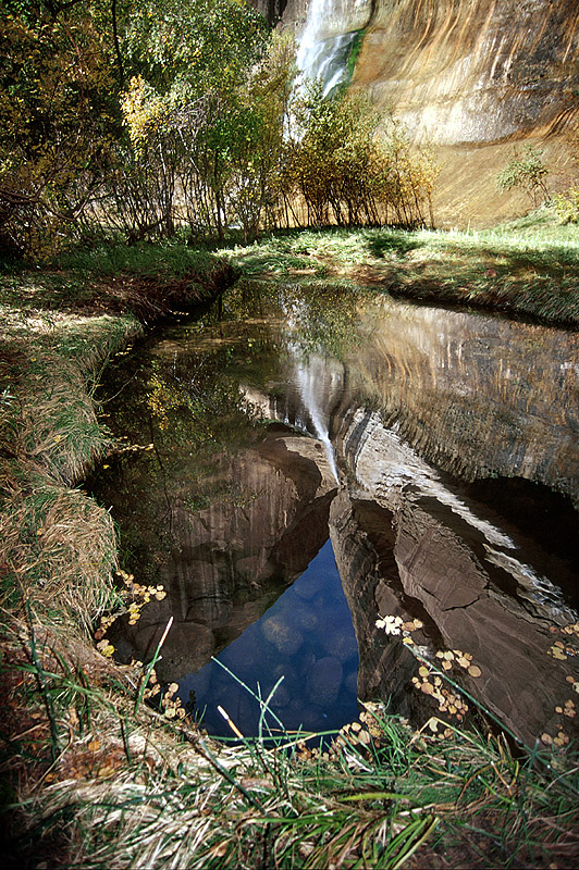 Stone Reflections