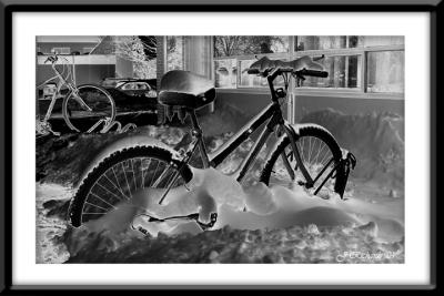 * Snowy Bike