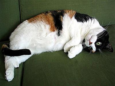 Can I move now? (*)