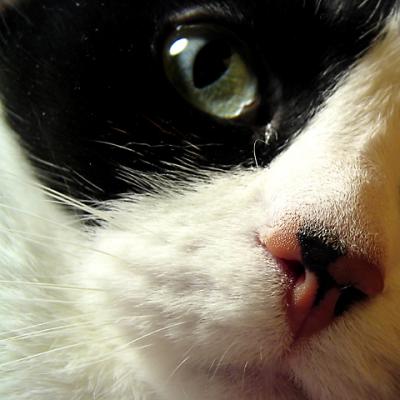 So near! (*)