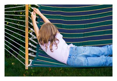 * Hammock