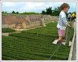 owner of clos-vougeot