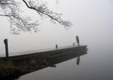 <b>Double focus in the mist</b><br>3rd Place