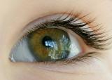 Ever seen the world through your childs eye?