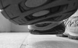 Bugs View <br>3rd Place
