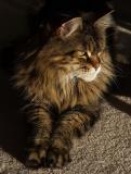 <B>Fiona Queen of the Universe</B>