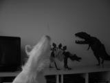 catching a candy *