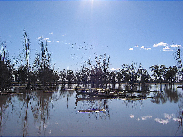 Still Waters *
