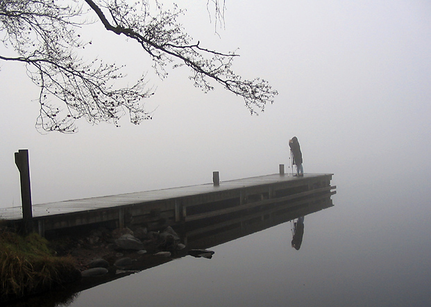 <b>Double focus in the mist</b><br>3rd Place