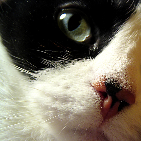 So near! (*)