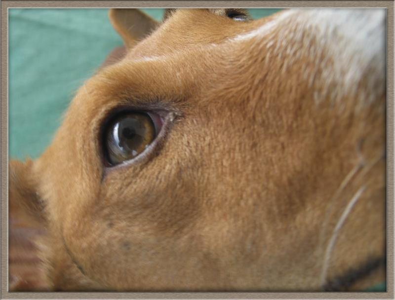 Are you looking at me? (*)