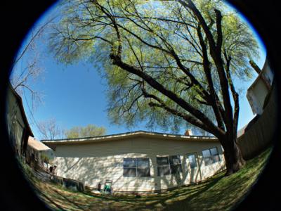 E-1 Fisheye - 3.jpg