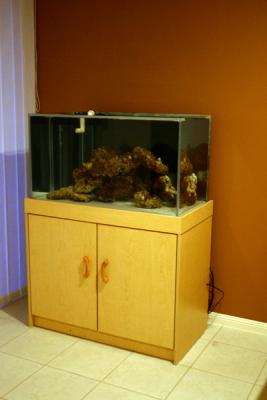 setup1.jpg