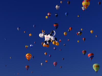 IMG_7823 4.jpg