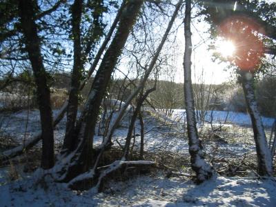 Snow in January nr DBOM