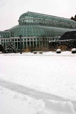 Brooklyn Botanic Garden