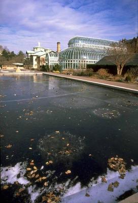 Brooklyn Botanic Garden
