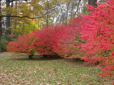 Trexler Park, Allentown, PA