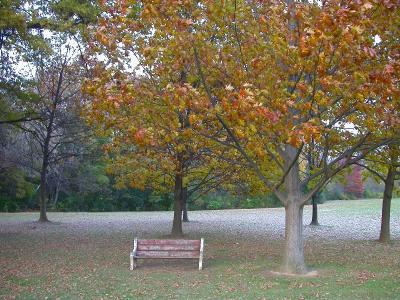 DSCN0688-sm.jpg