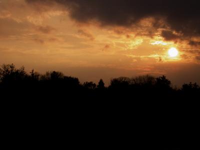 Dscn0682-sm.jpg