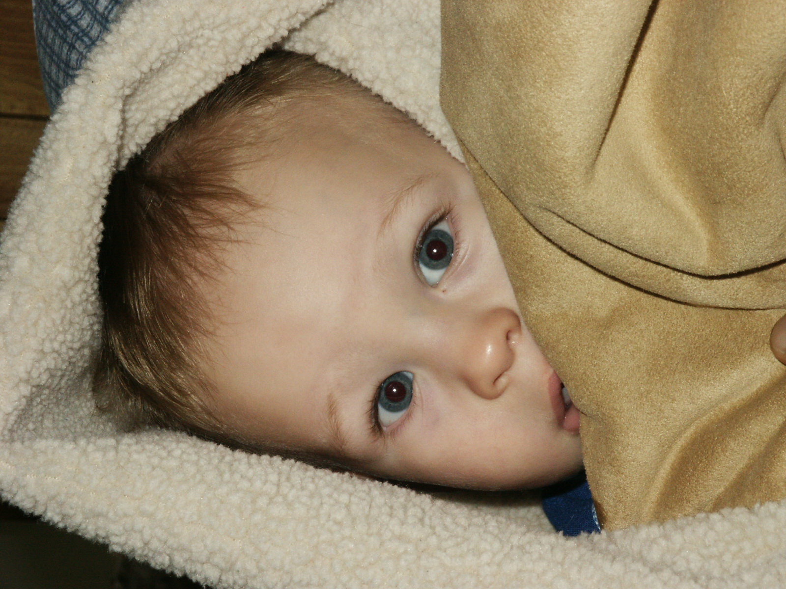 Peek a boo