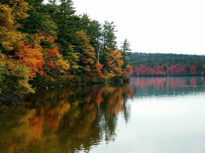 Southeastern Shore - Chocorua Lake NH