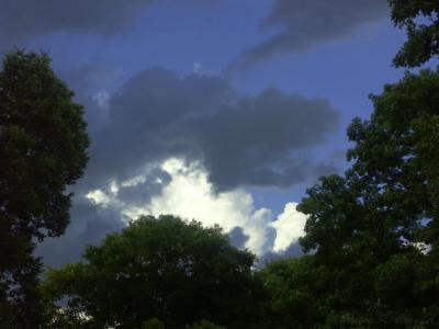 Aug 9 2004.jpg