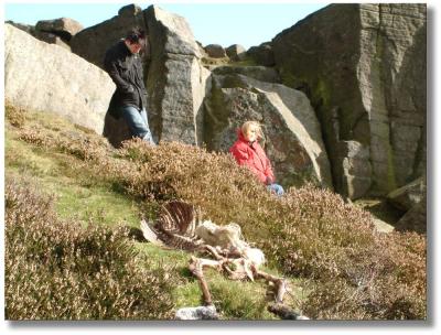 Mike, Carol and a dead sheep !
