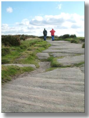 Stone path way