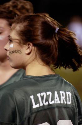 u39/derrel/medium/35059619.DSC_7629_Lizzard.jpg