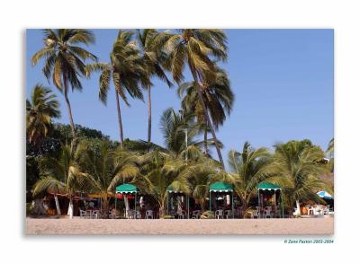 Our favorite restaurant right on the beach. We had lobster for thanksgiving diner with Pina Coladas. Nice.