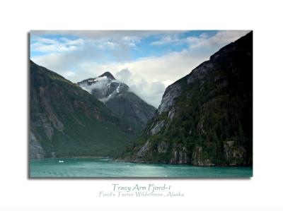 Tracy Arm Fjord-3