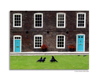 Tower of London Ravens