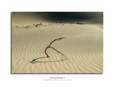 Dune Detail-1