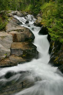 MtRainier-Paradise River Cascade-w.jpg